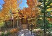 Gallery Thumbnail (Lookout on Christie Lane)