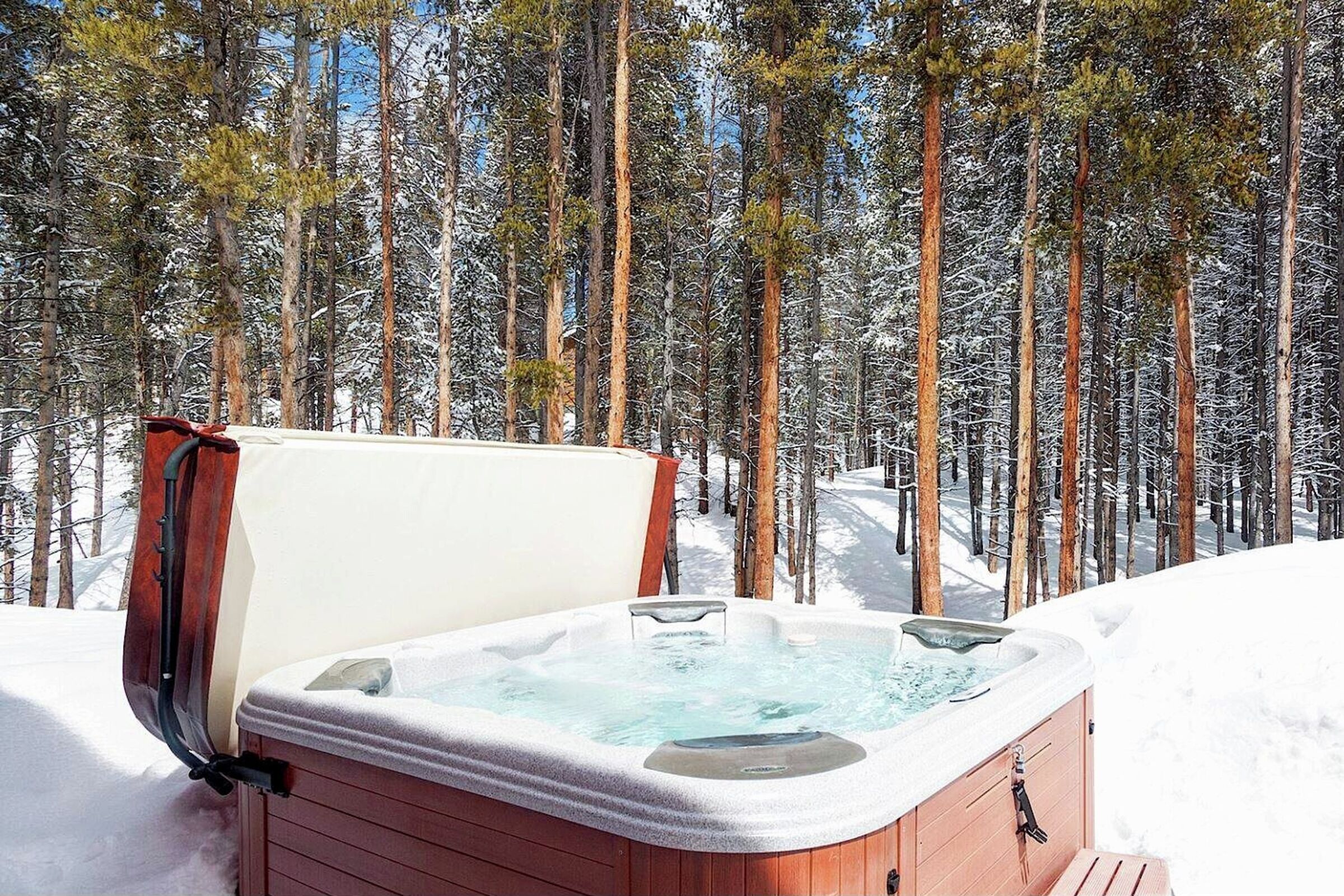 Patio with Hot Tub