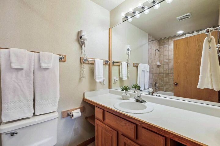 3 Bdrm + Loft 3.5 Bath  - Master Ensuite Bathroom