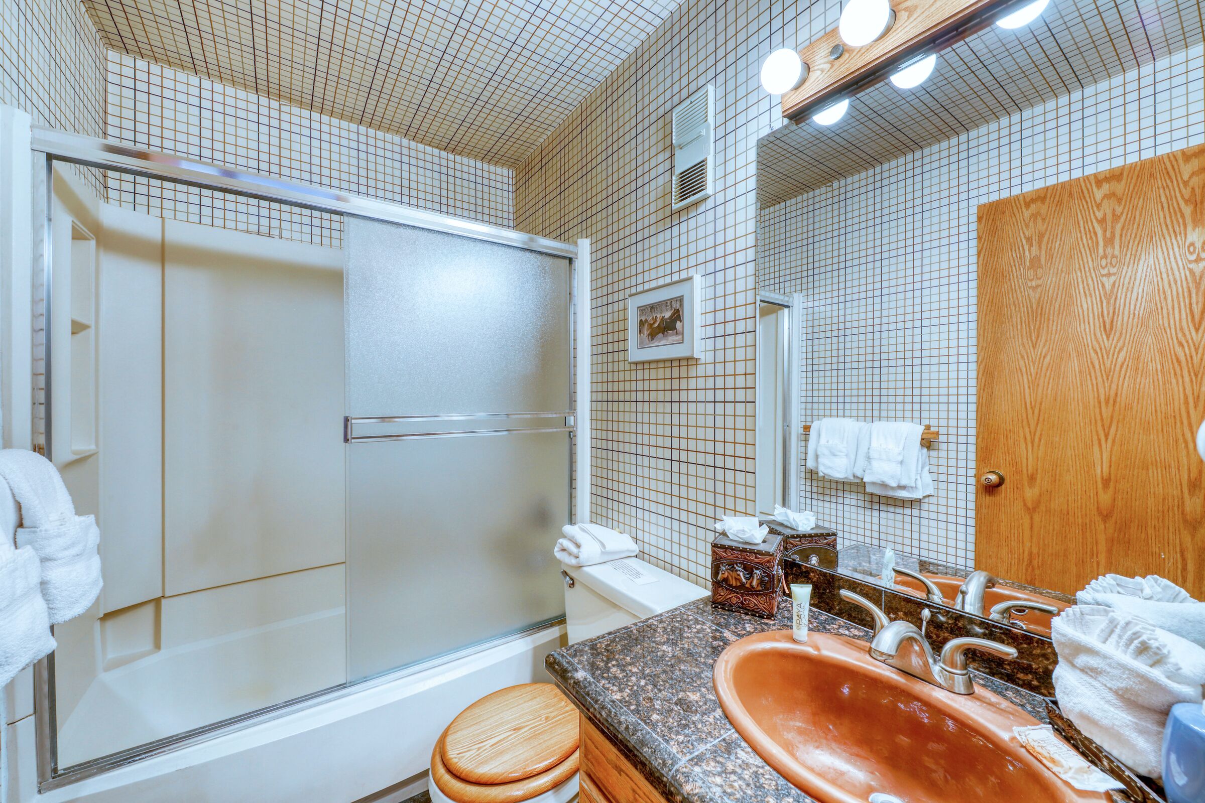 #208 - Bathroom