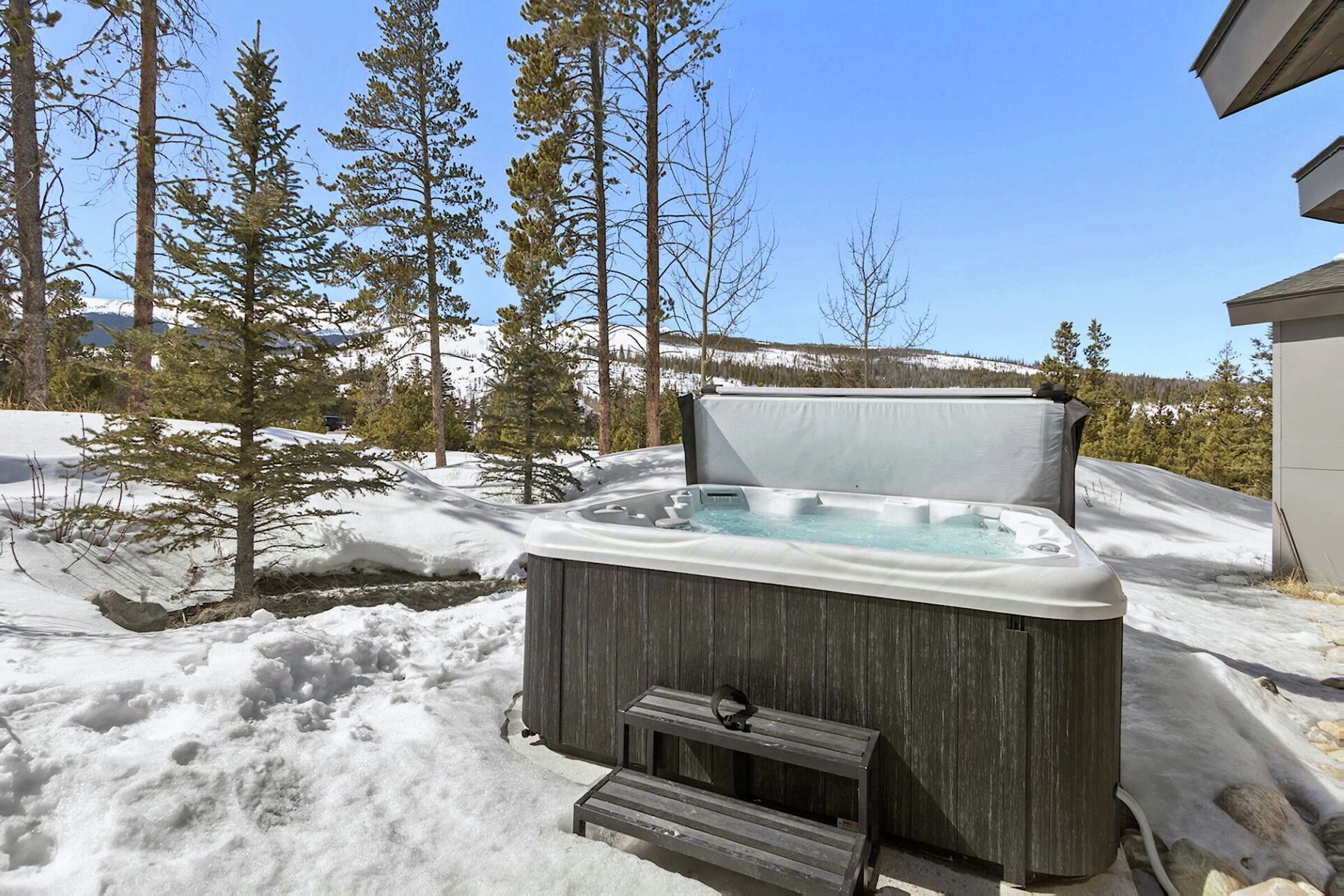 Patio with Hot Tub
