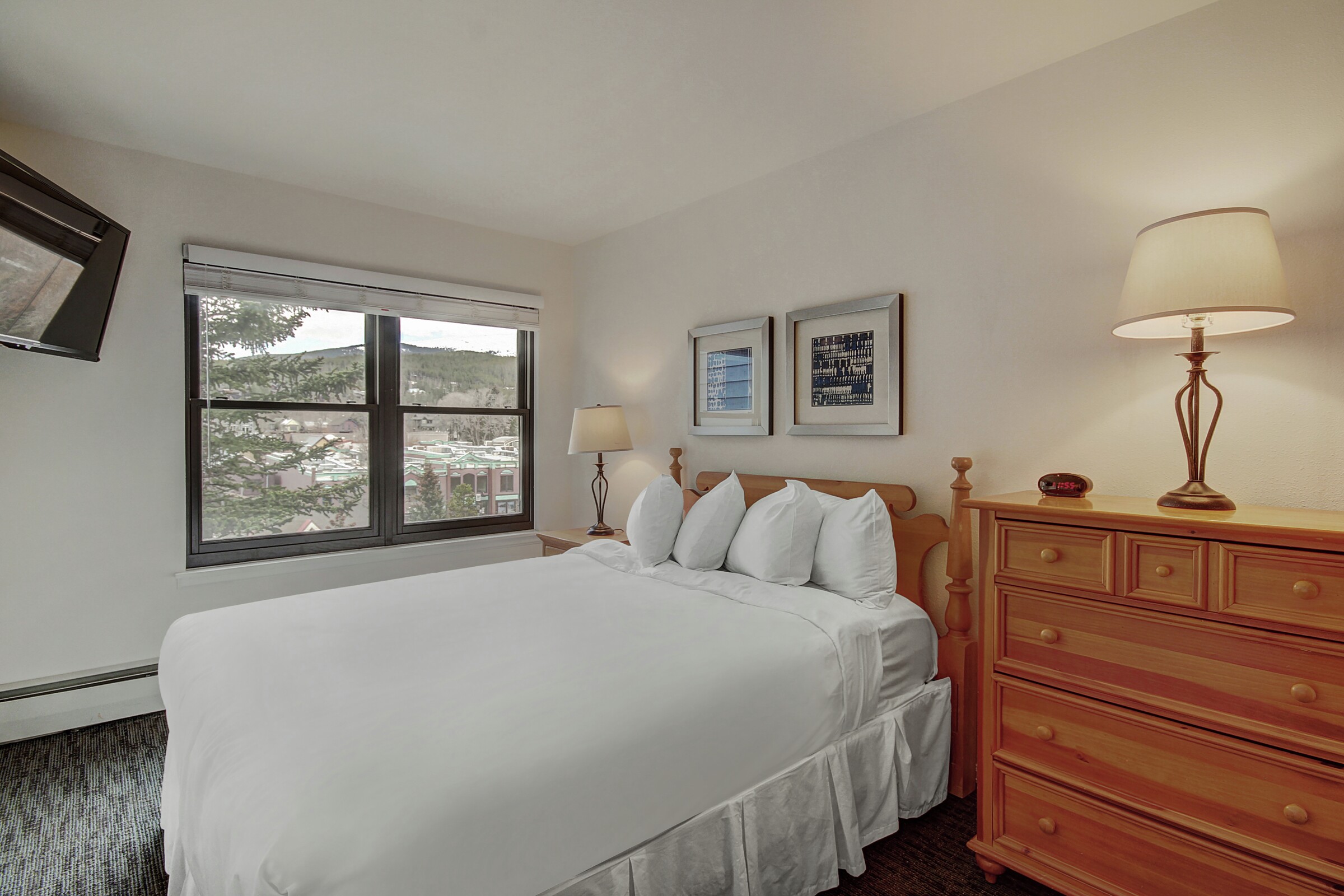 One Bedroom + Den Bedroom