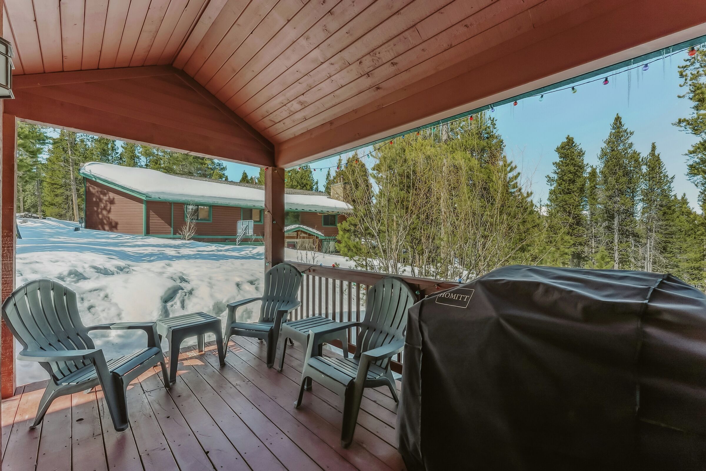 Deck with BBQ