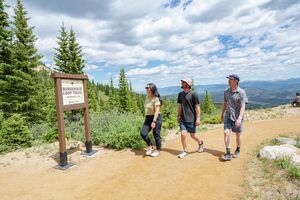 Group of Friends on a Summer Hike in Breckenridge 