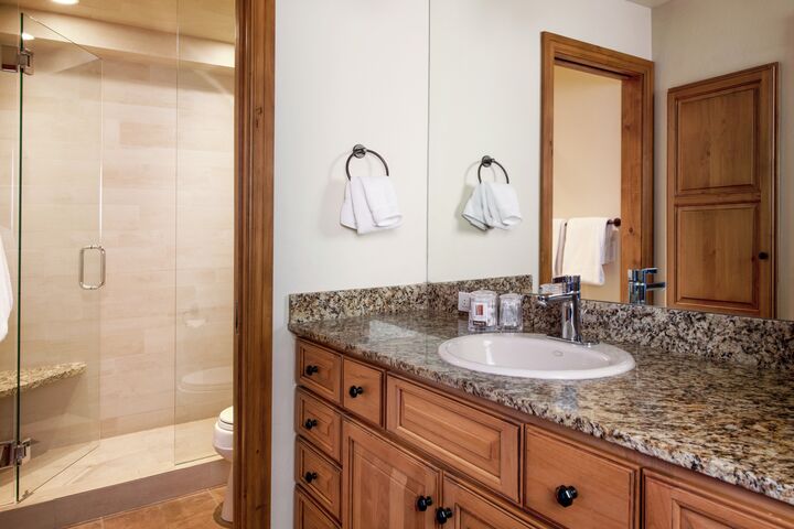 1 Bdrm Deluxe - Bathroom