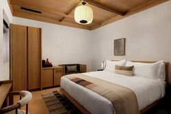 Cozy King - Guest Room