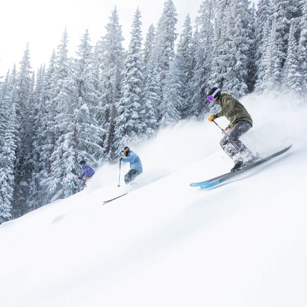  Bluebird powder day, Hero's skiing, group skiing, flocked trees 