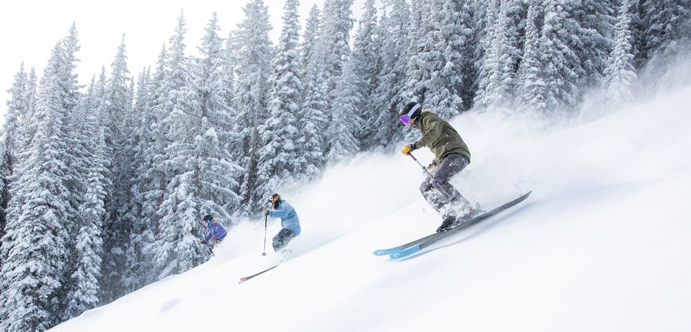  Bluebird powder day, Hero's skiing, group skiing, flocked trees 