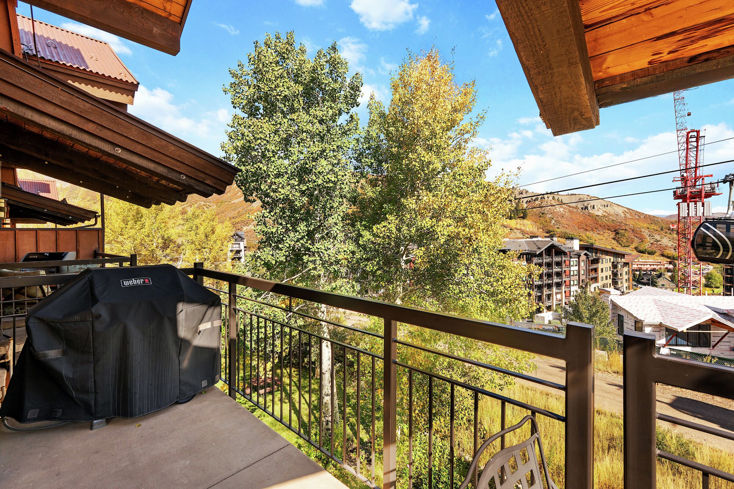 #1313 - Grape - Balcony