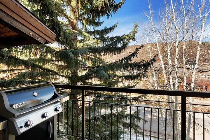 #1308 - Dogwood - Balcony