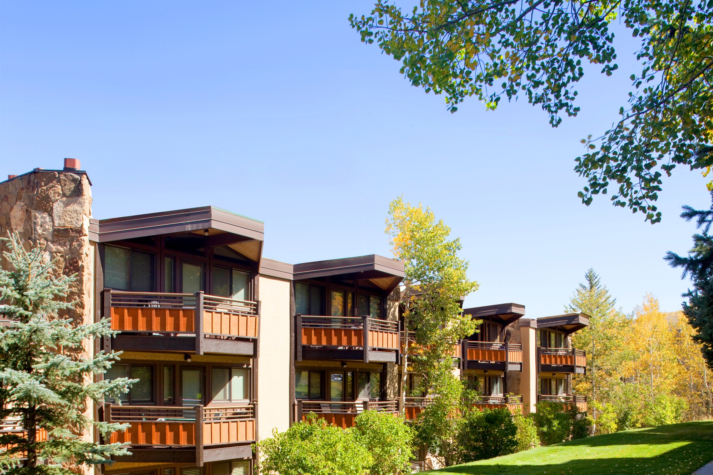Laurelwood