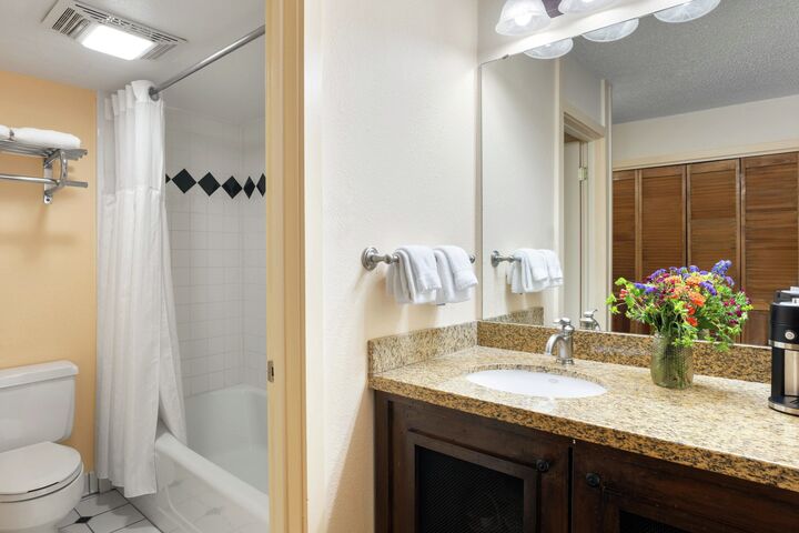 #106 - Deluxe King Room - Bathroom