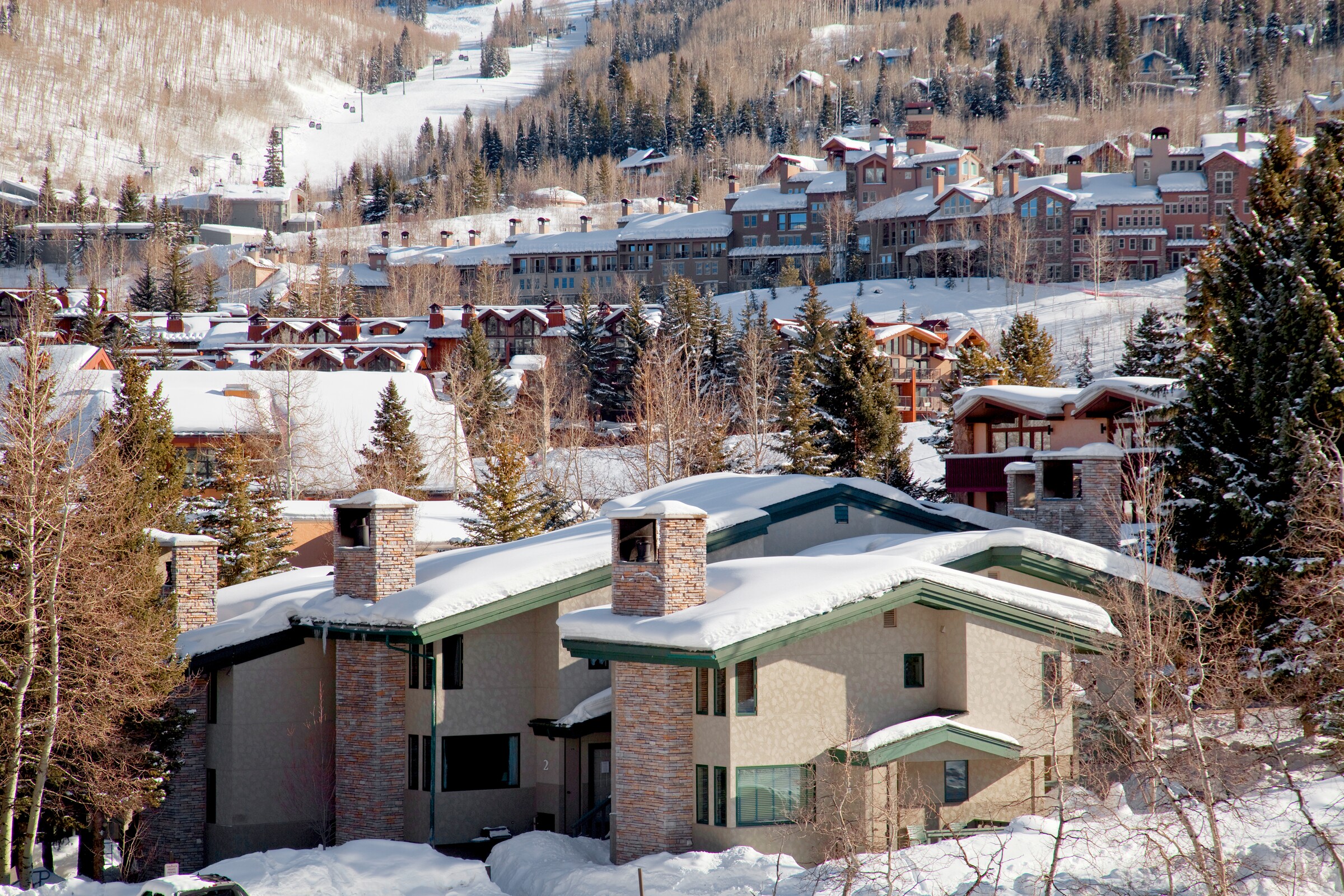 Tamarack