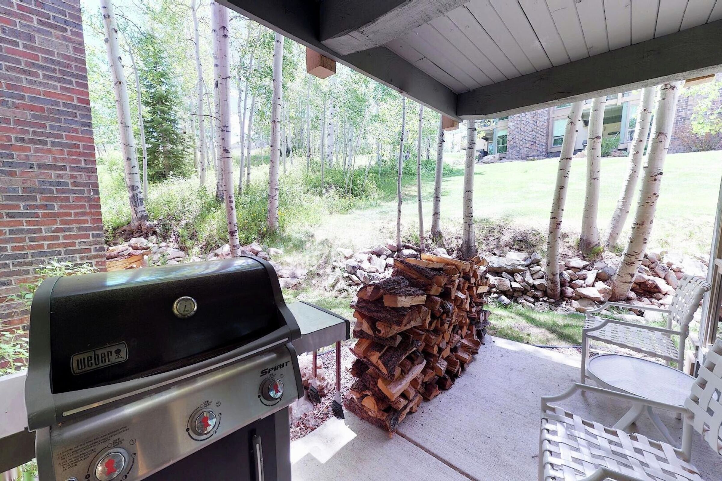 Patio with BBQ