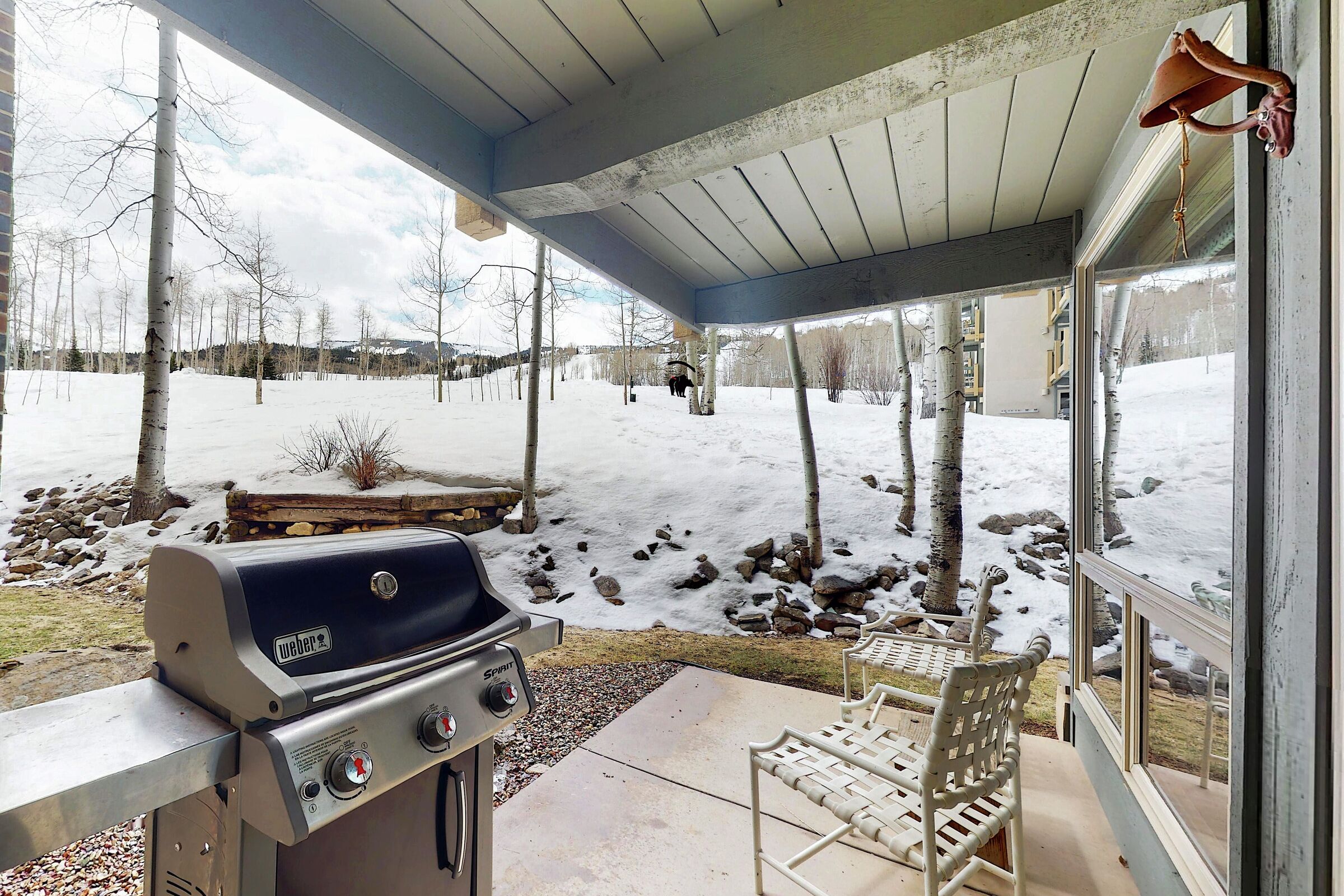 Patio with BBQ