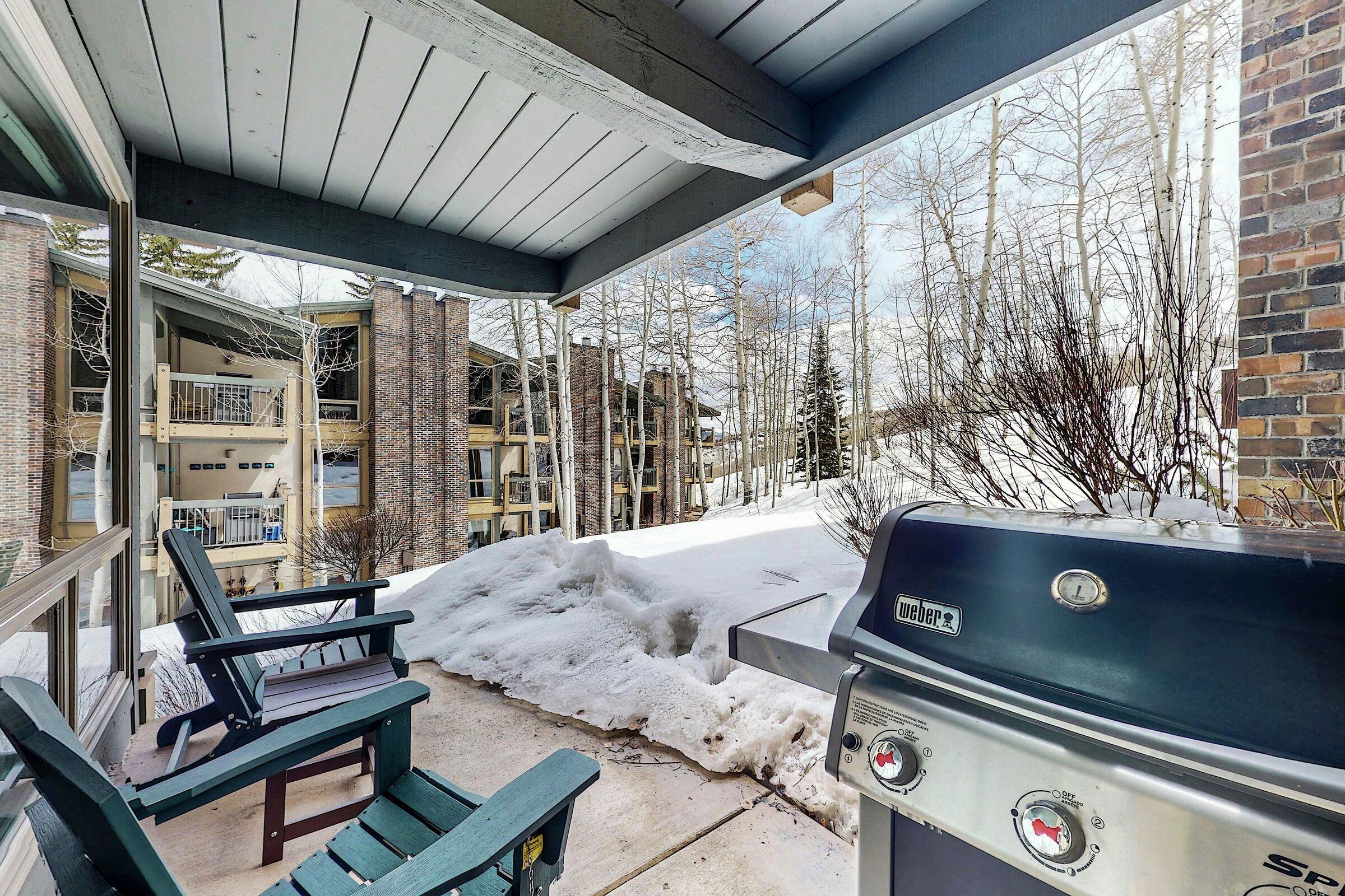 #101 Slope - Patio with BBQ