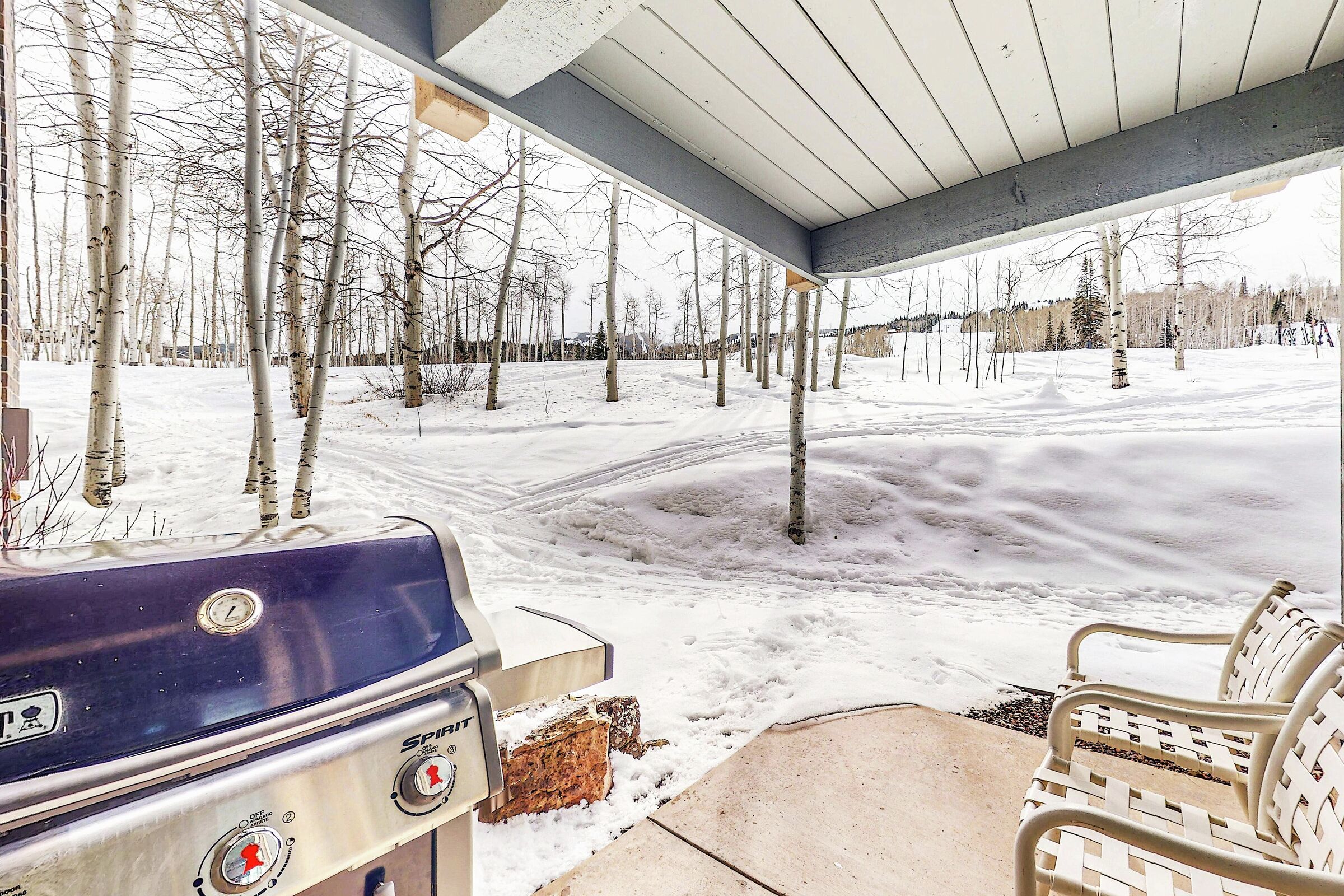 Patio with BBQ