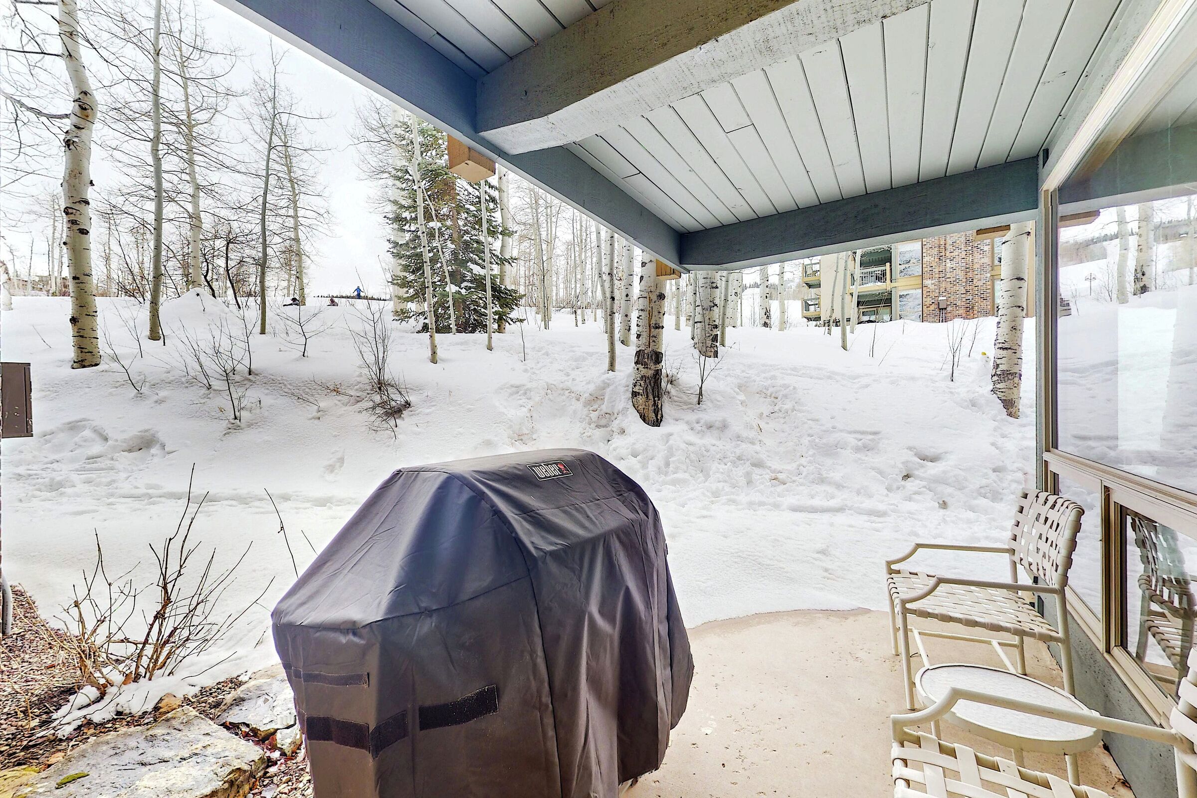 Patio with BBQ