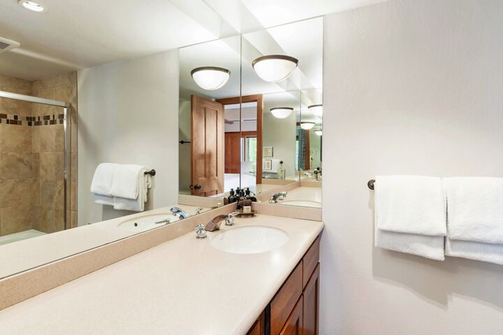 #401 Leaf - Master Ensuite Bathroom