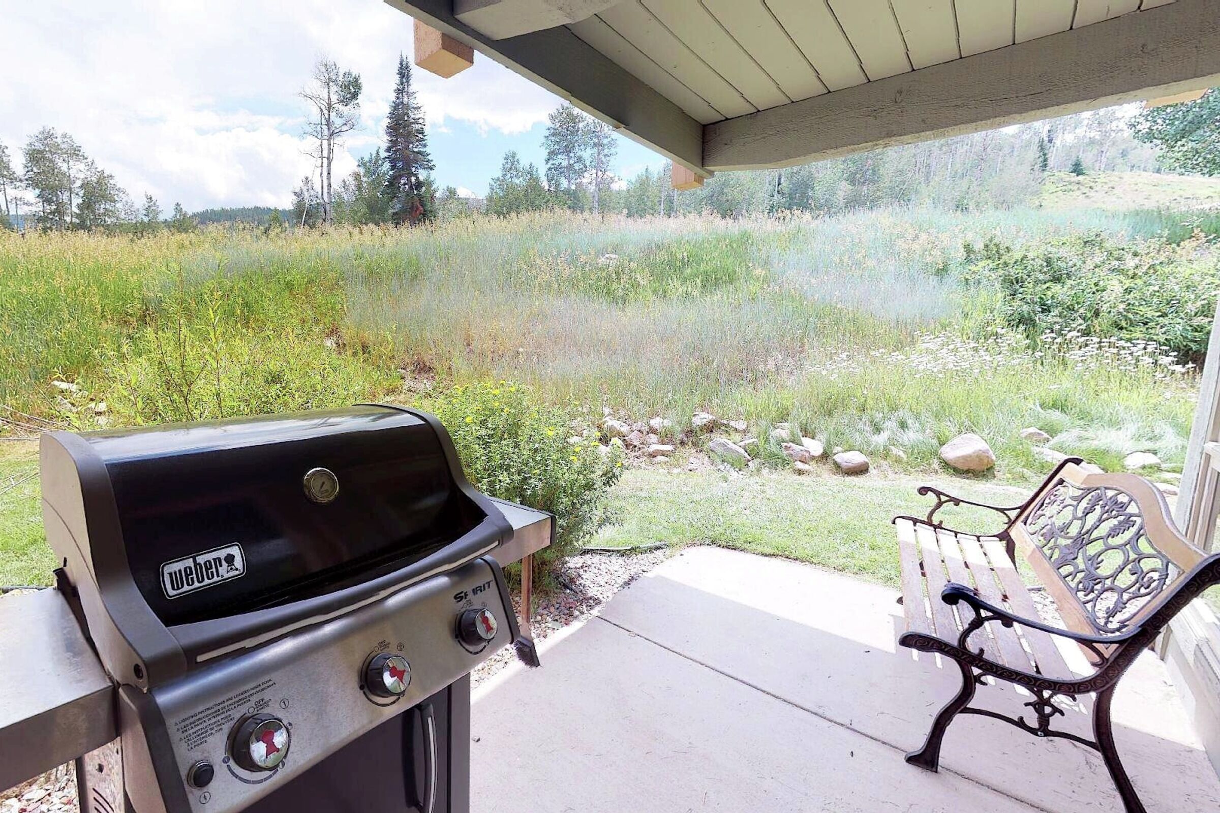 Patio with BBQ