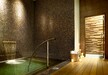 Gallery Thumbnail (Spa Plunge Pool)