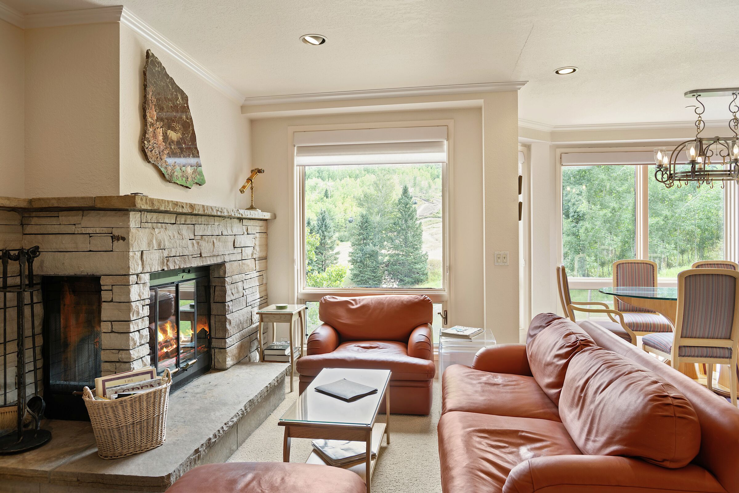 #32 - Living Area