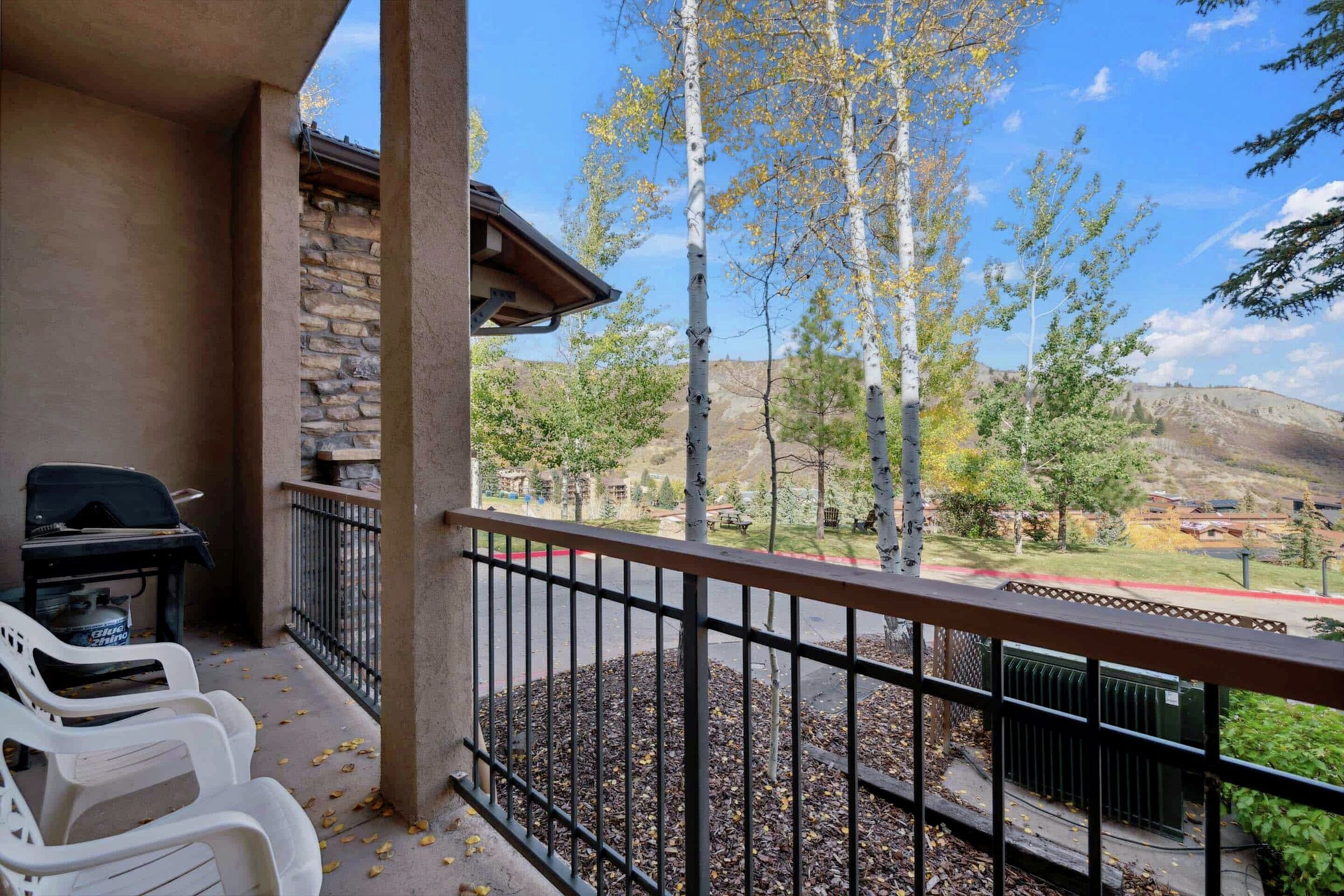 #32 - Patio with BBQ