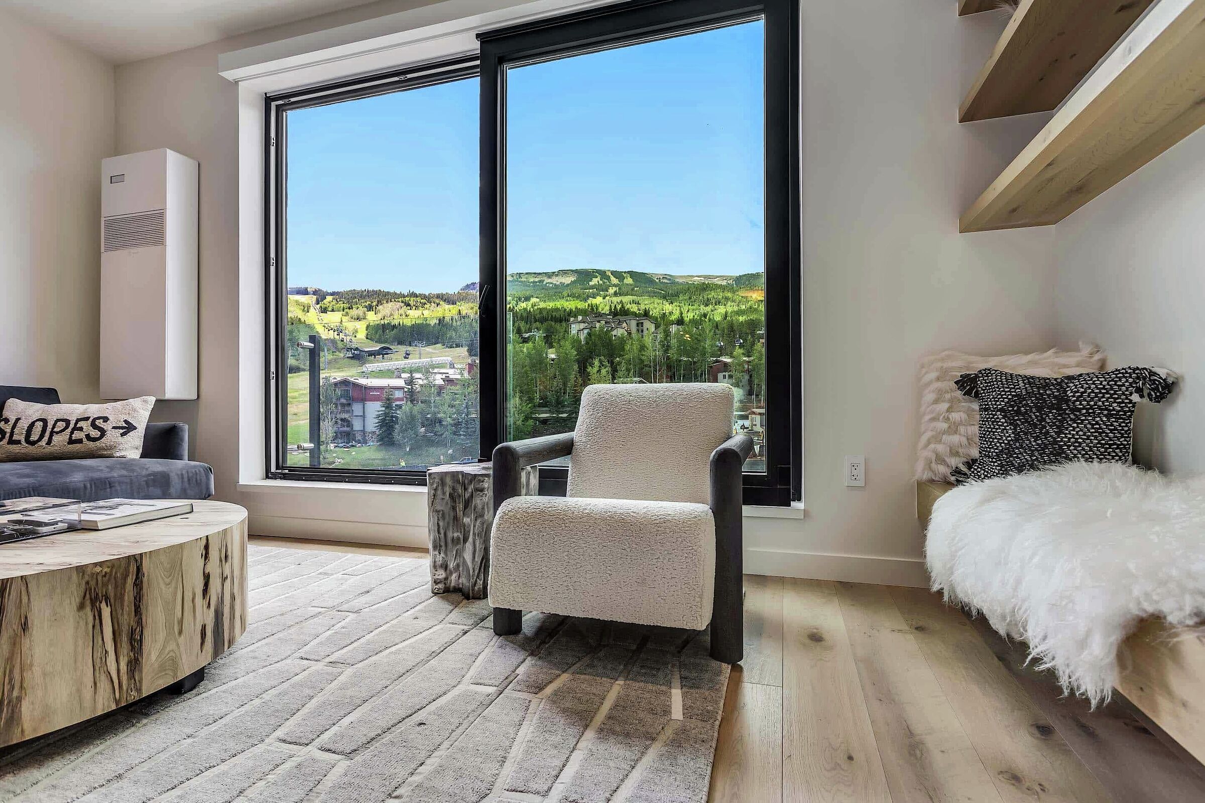 #503 - Living Area View
