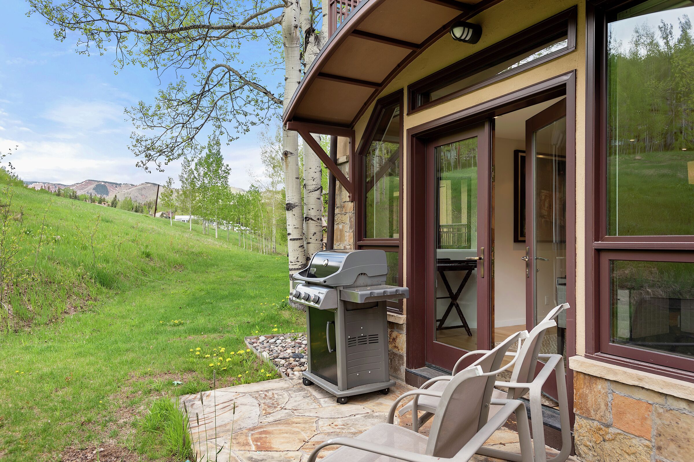 Patio with BBQ
