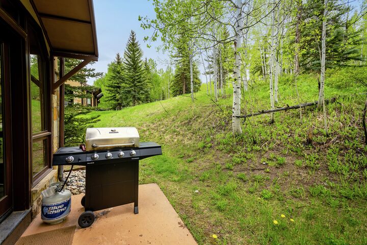 3 Bdrm 4.5 Bath #31 - Patio with BBQ
