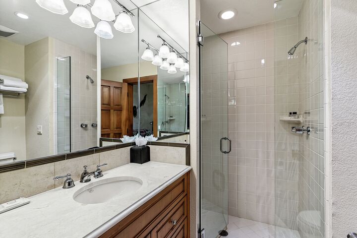 4 Bdrm 6.5 Bath #5 - Bathroom