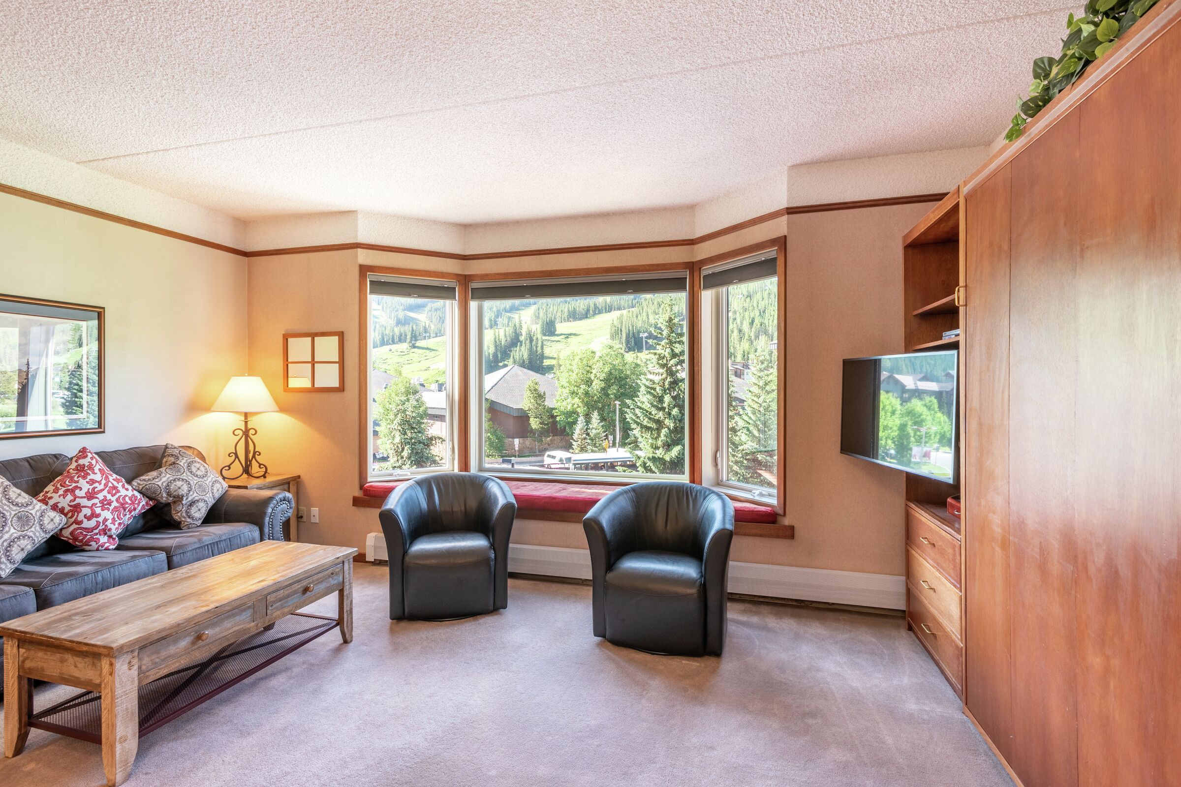 Studio Living Area