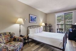Bed & Living Area