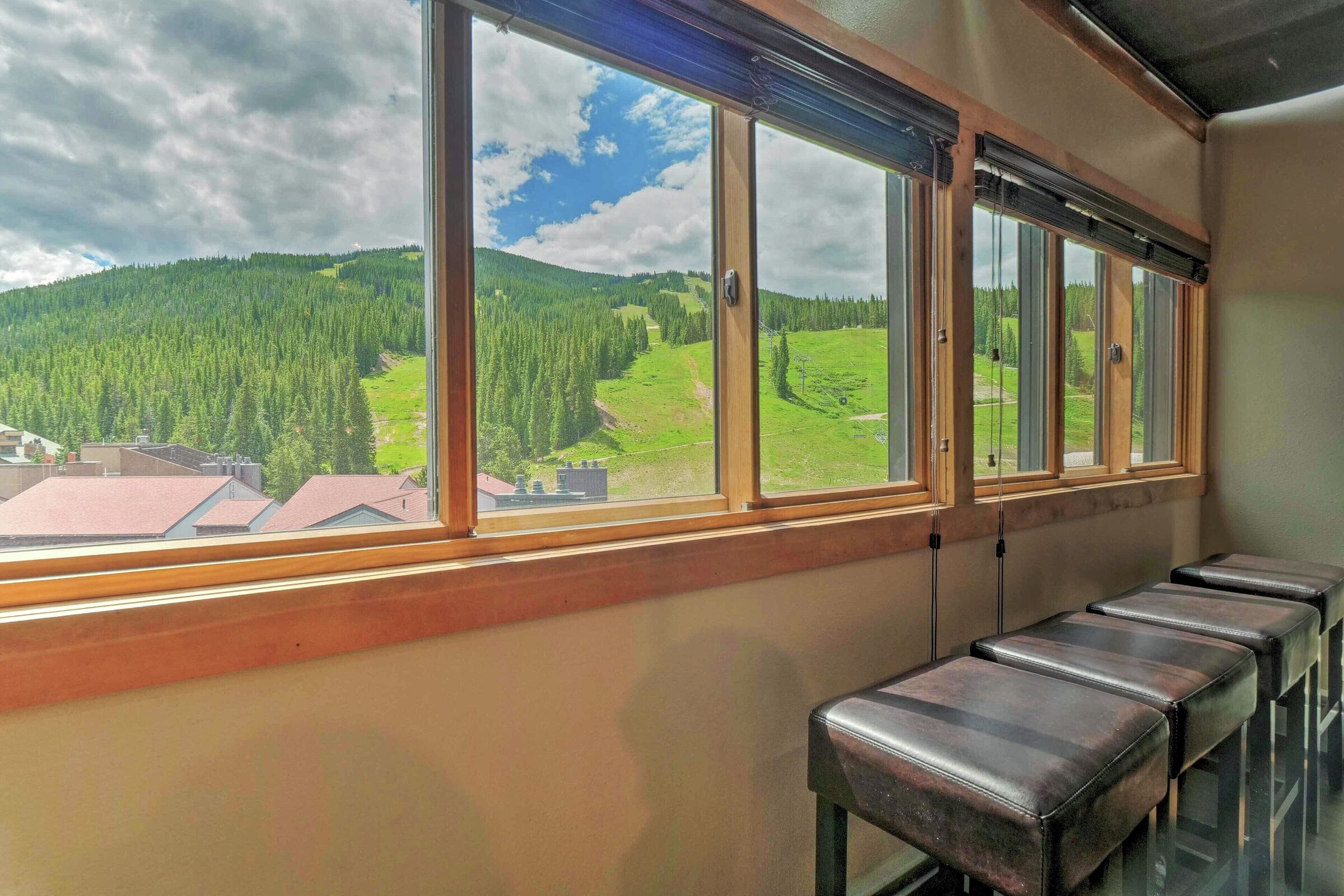 Living Area View