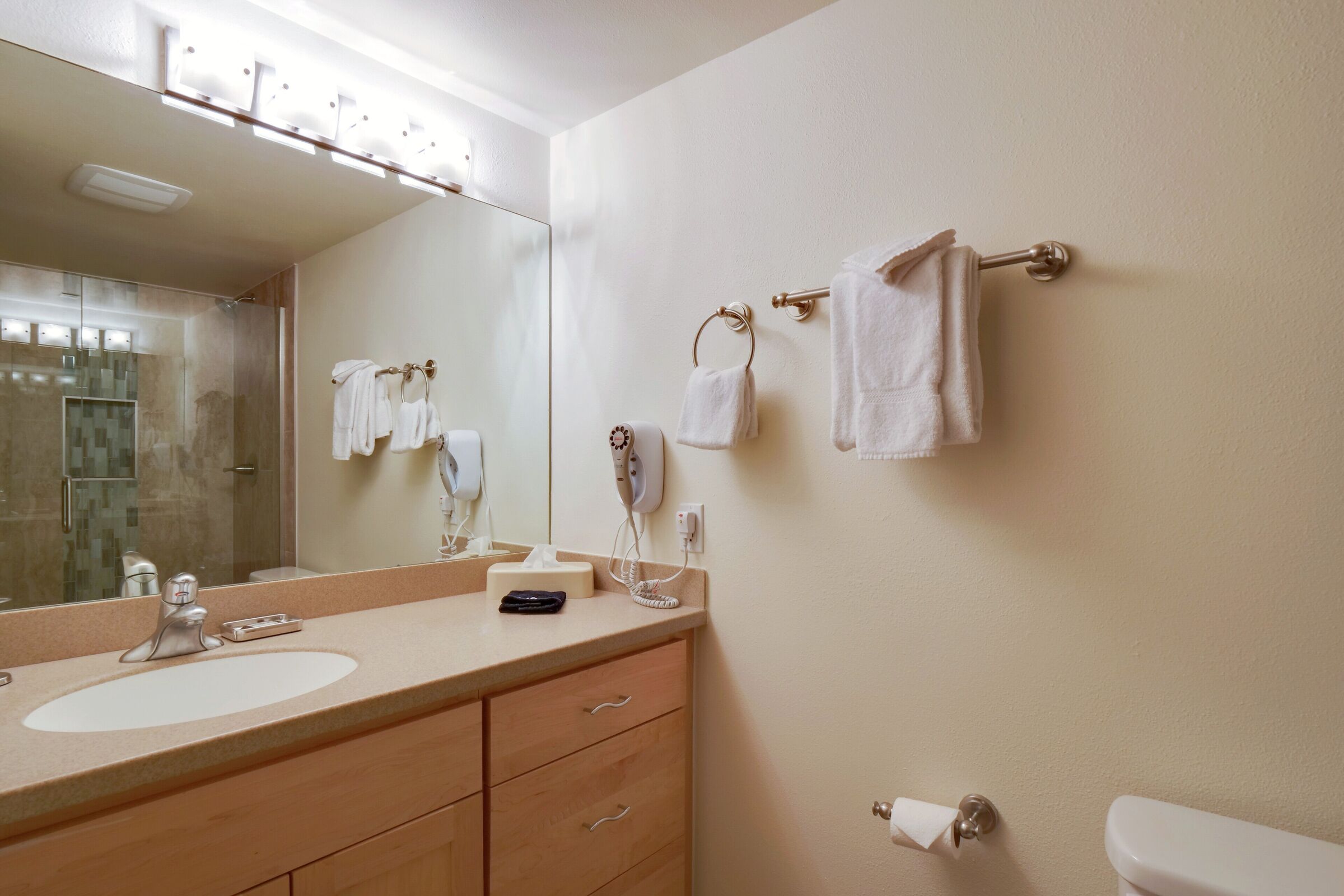 #225/229 - Ensuite Bathroom