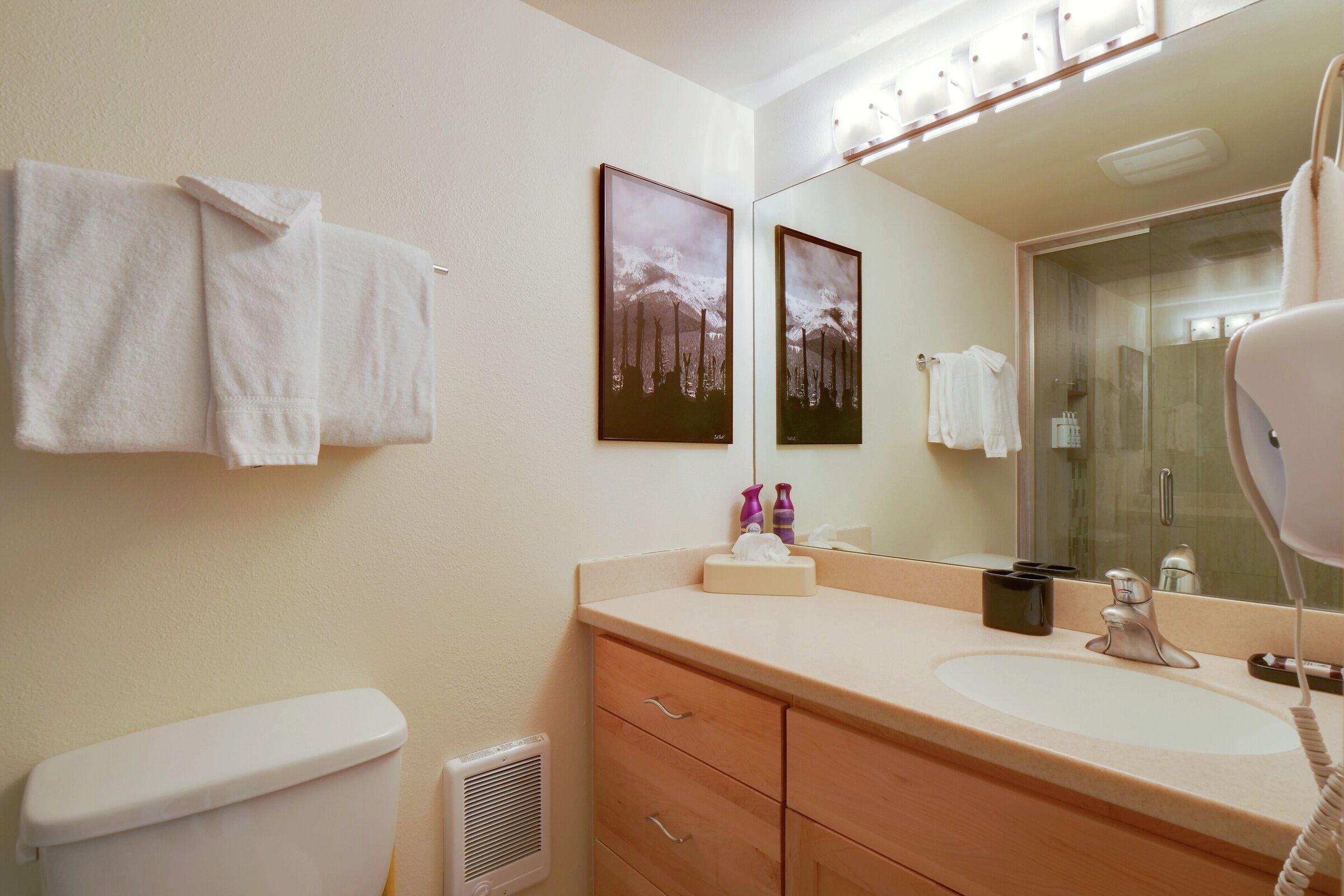 #225/229 - Ensuite Bathroom