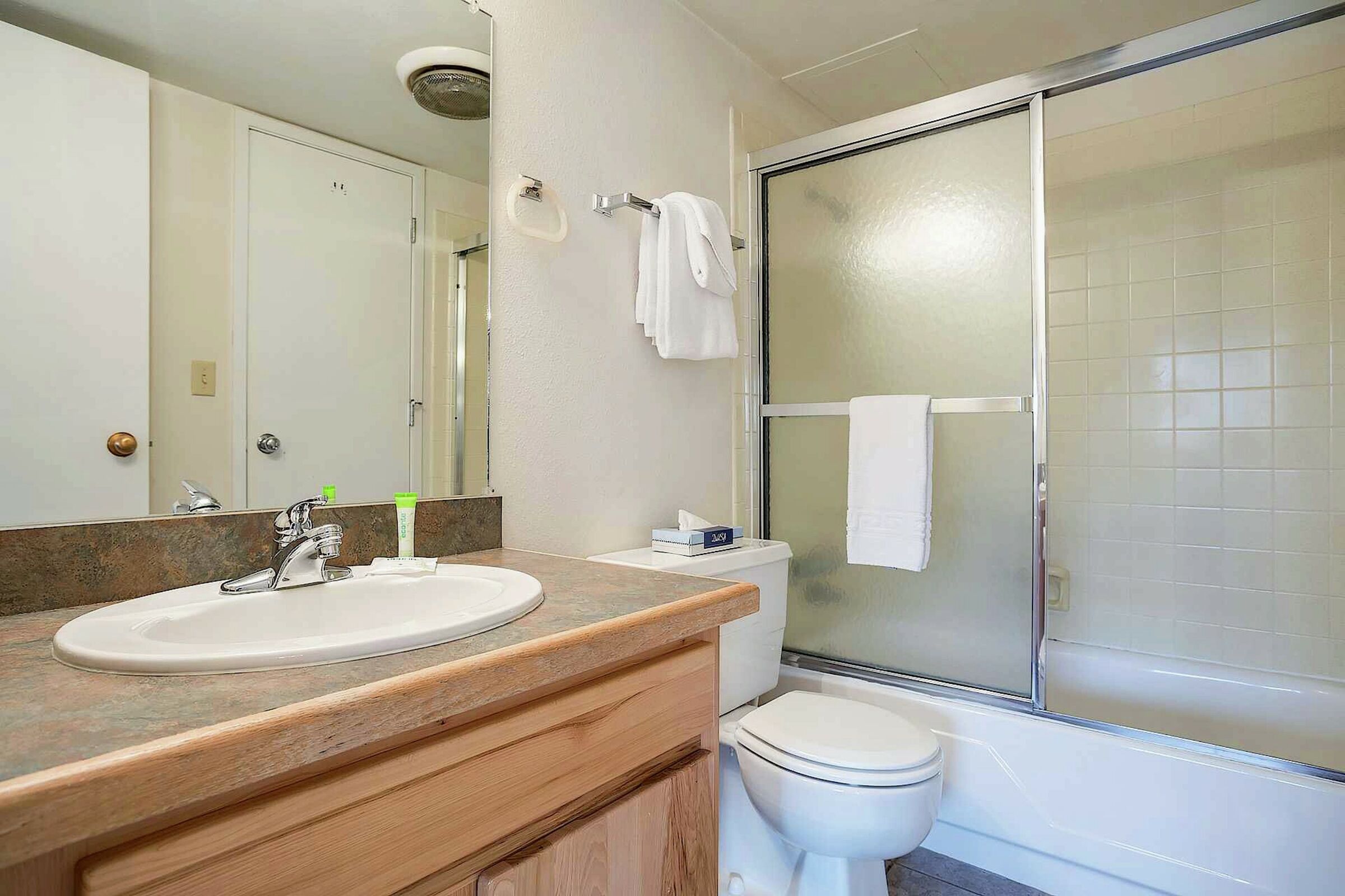 #447 - Studio Bathroom