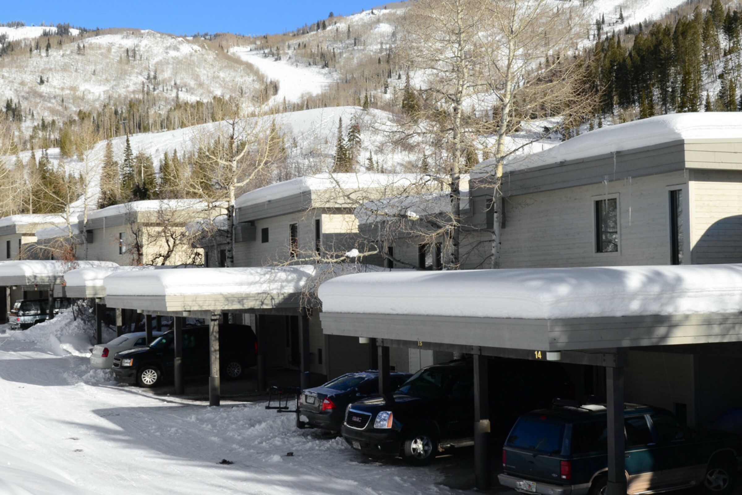 Storm Meadows Townhouses
