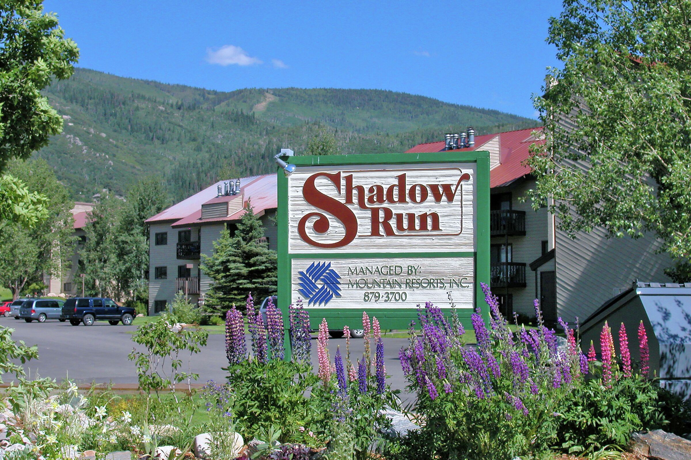 Shadow Run