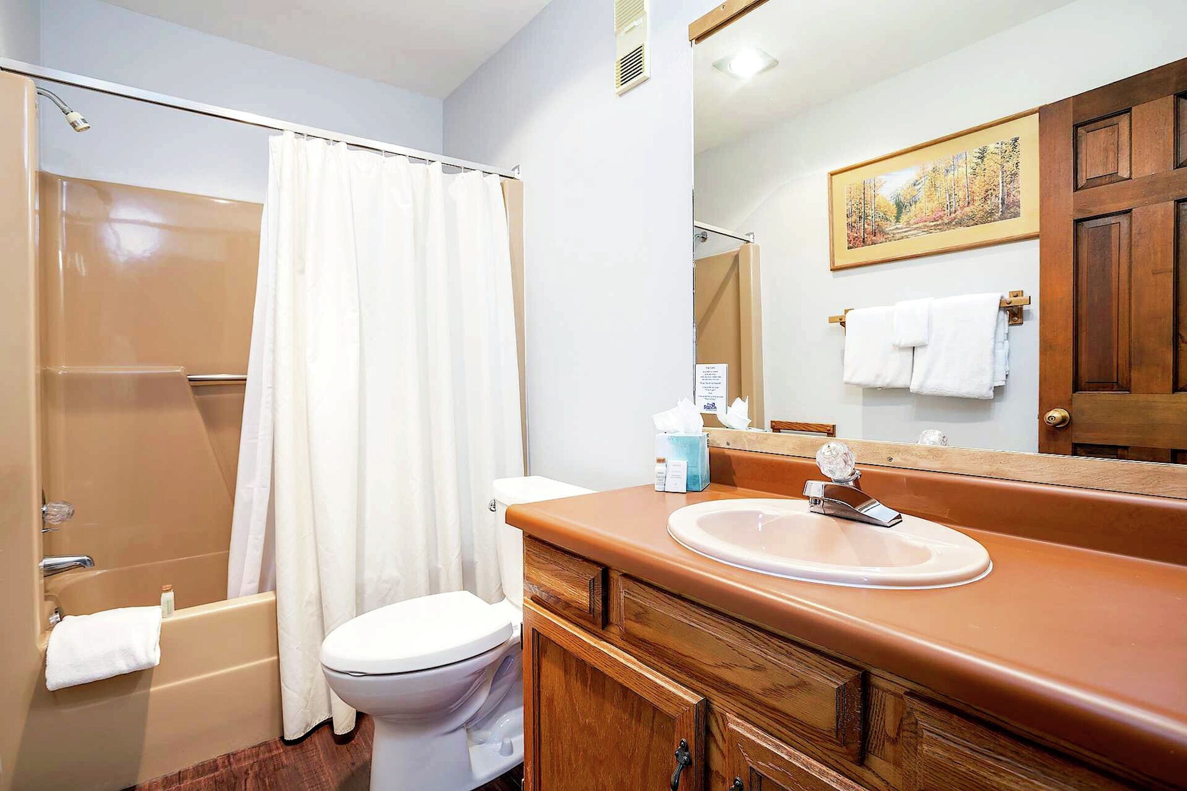 #309 - Bathroom