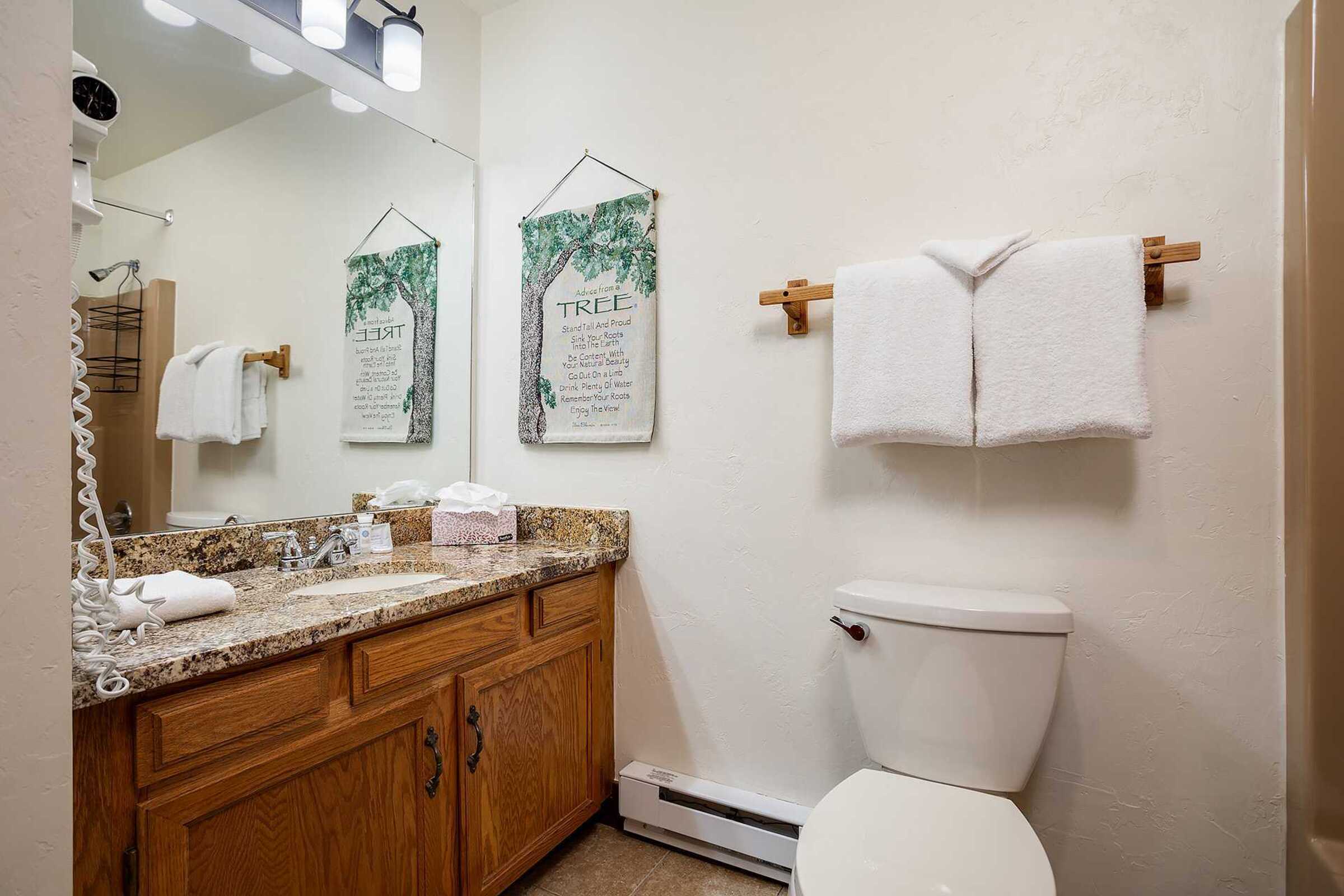 #602 - Bathroom