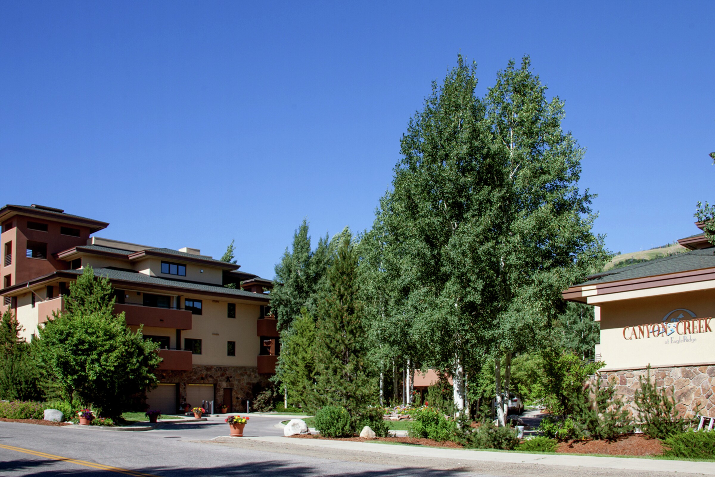 Canyon Creek