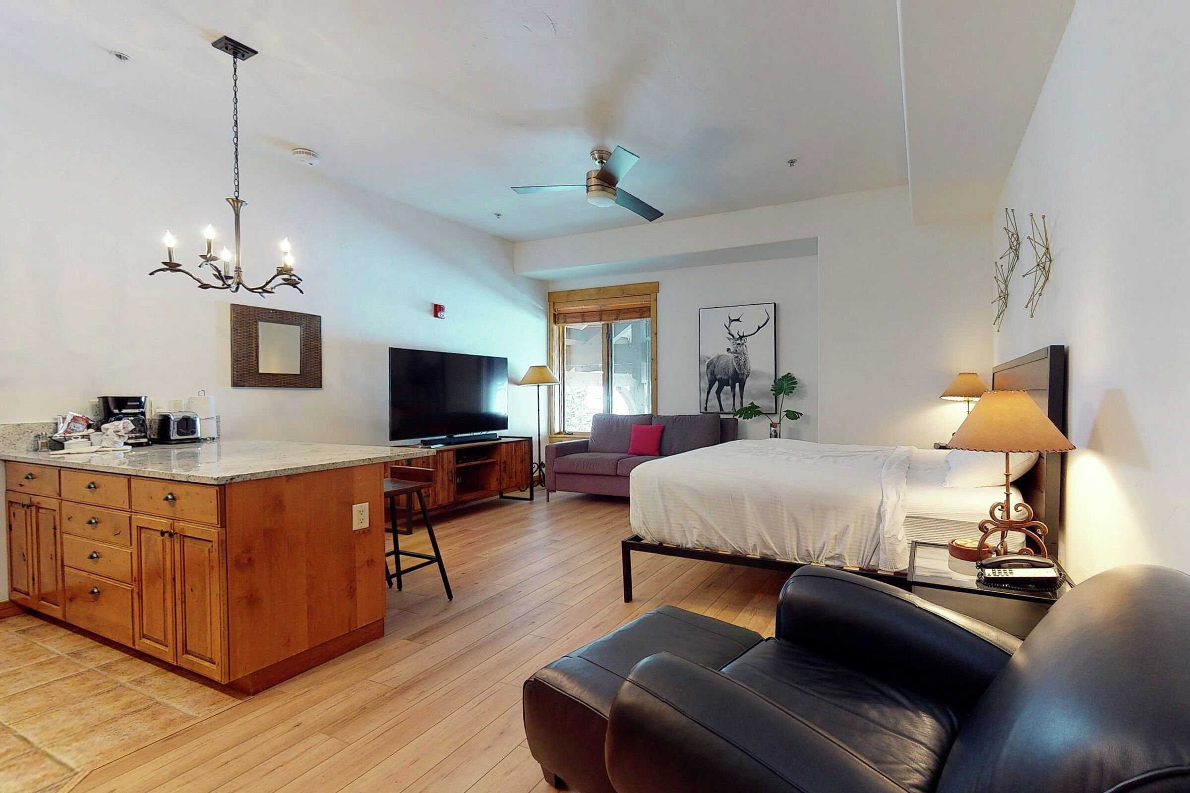 #313 - Studio Living Area & Sleeping Area