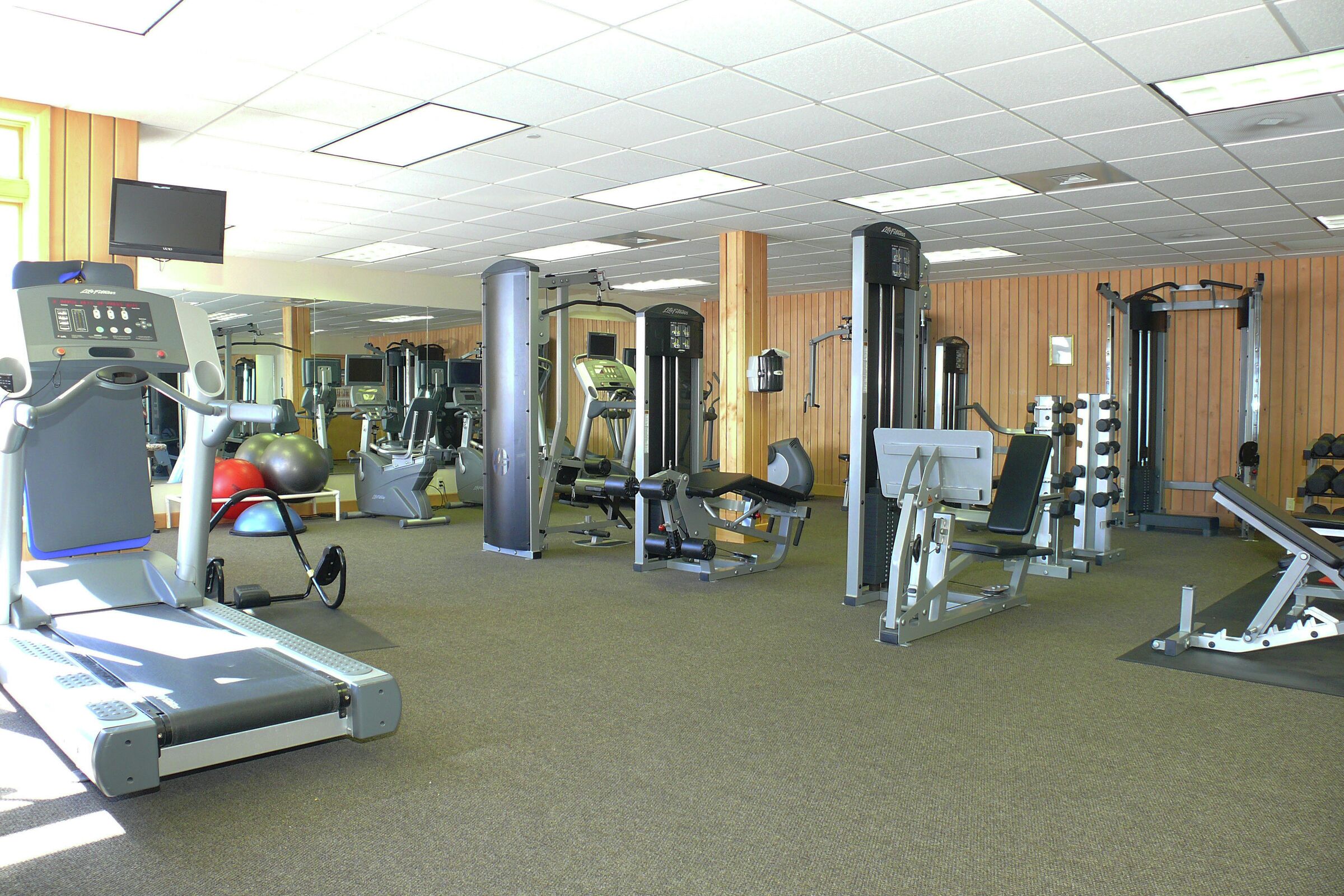 Gymnasium