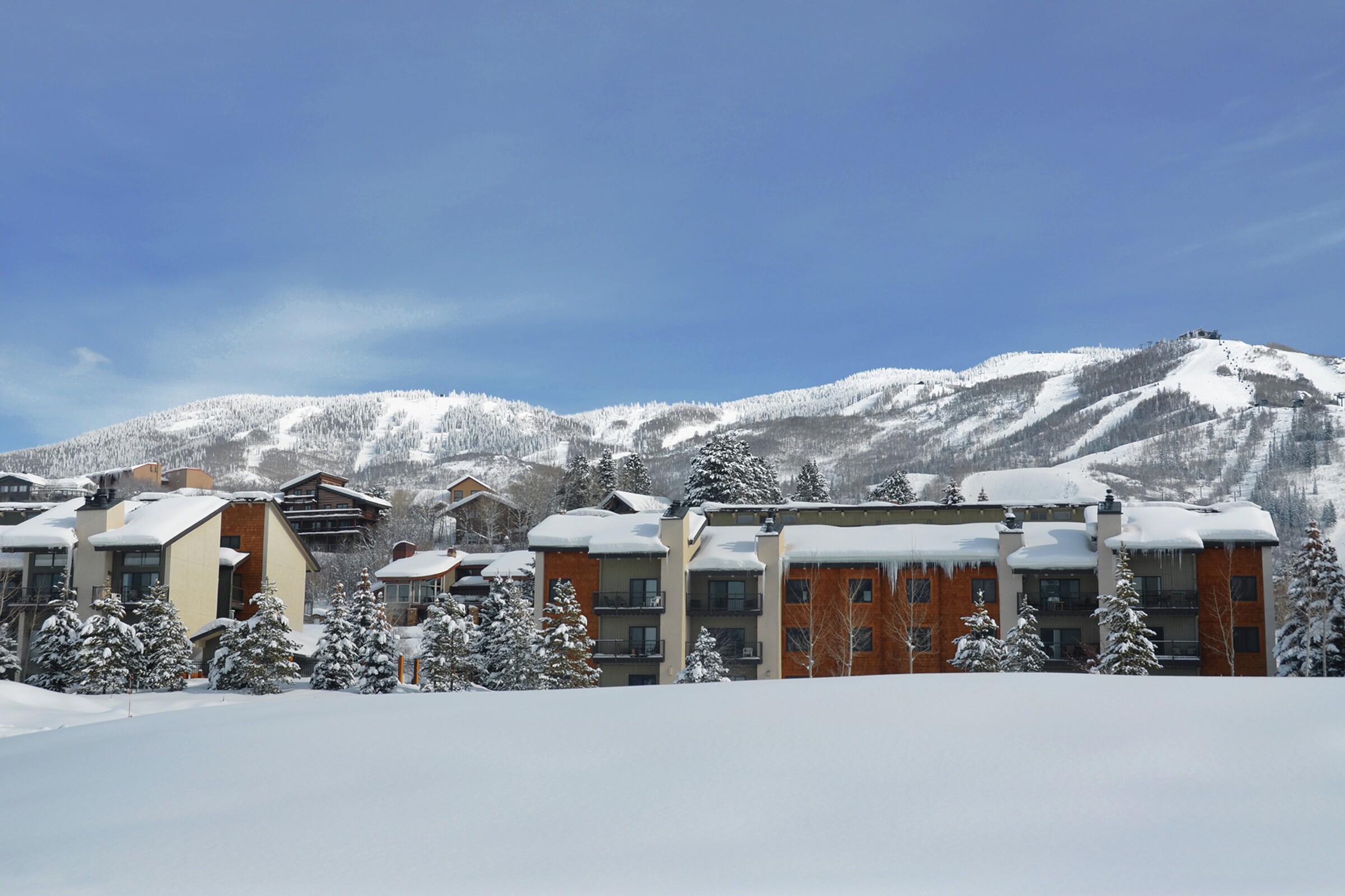 The Rockies