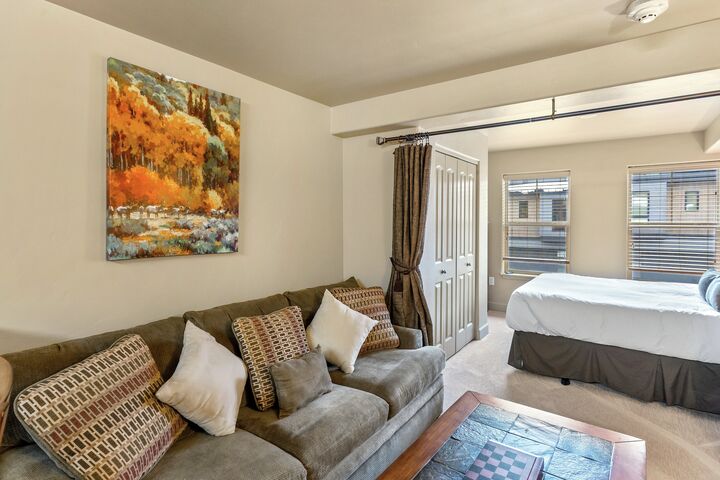 #3203 - Living Area & Sleeping Area