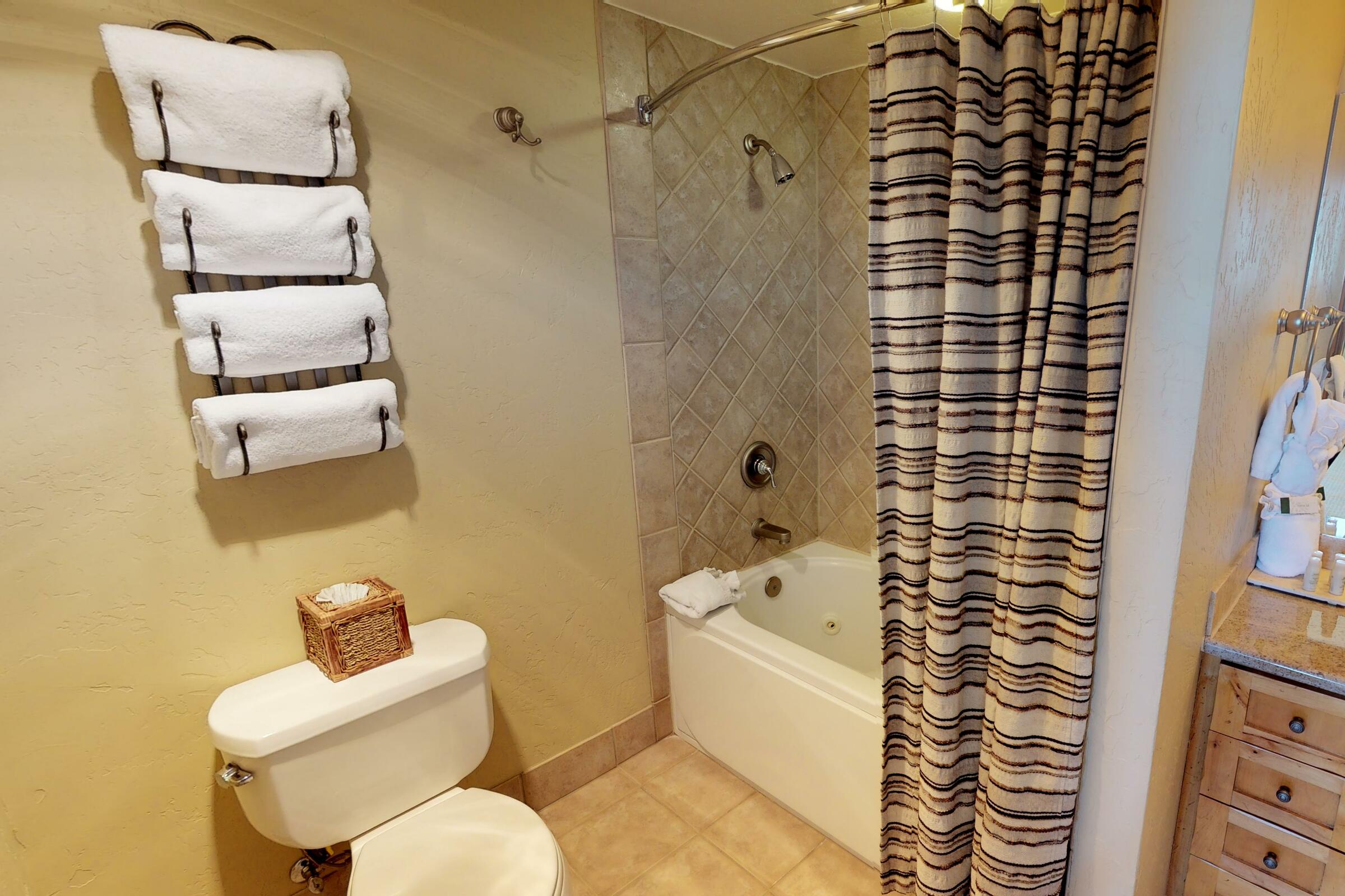 703 - Ensuite Bathroom