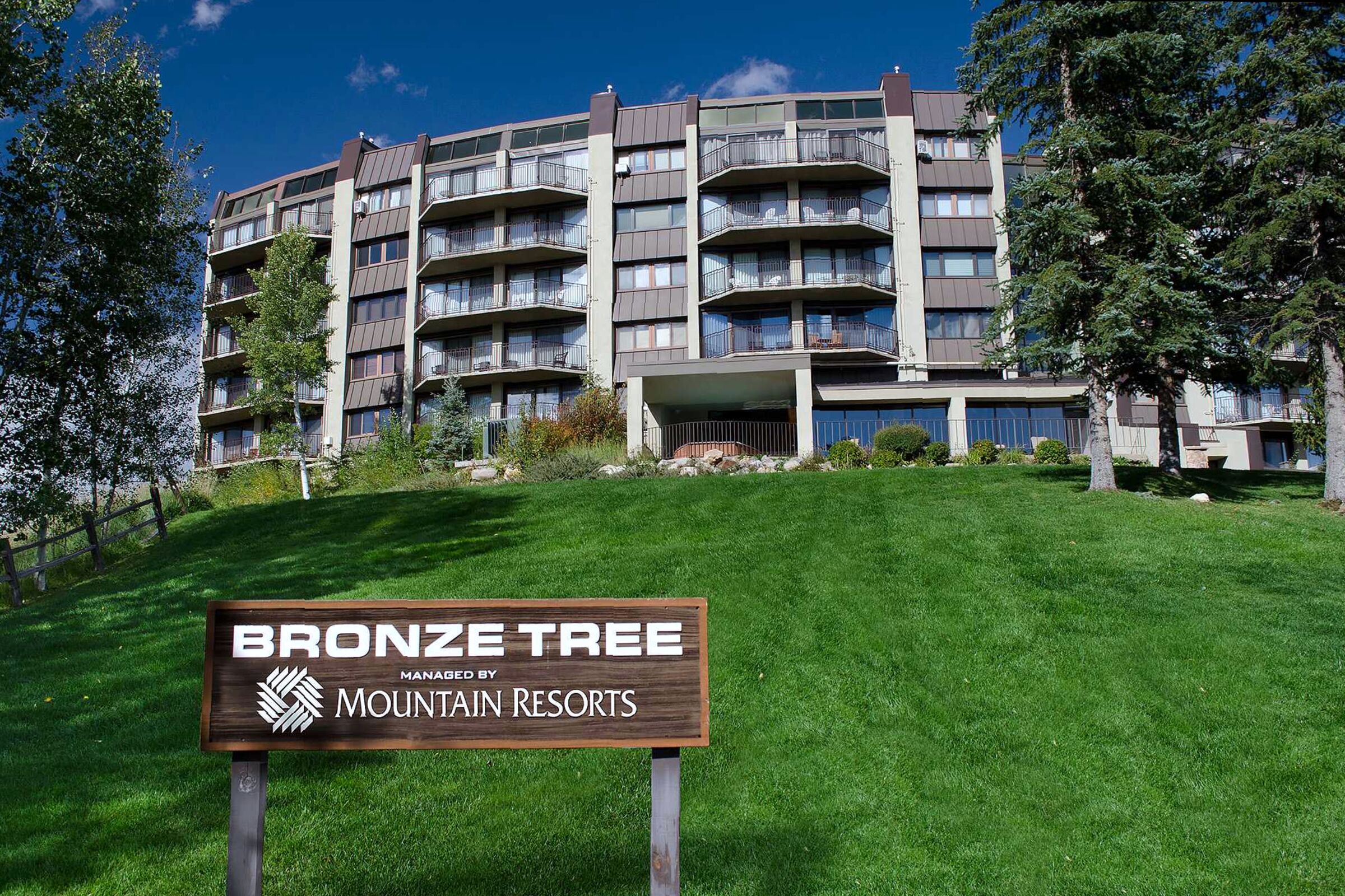 Bronze Tree