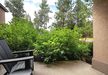Gallery Thumbnail (#2101 - Patio)