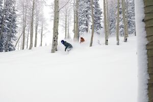Steamboat